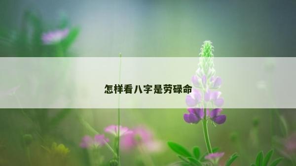 怎样看八字是劳碌命