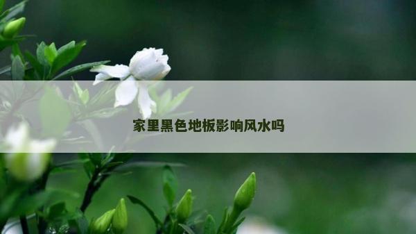 家里黑色地板影响风水吗