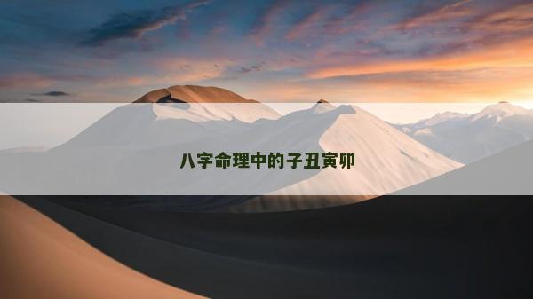 八字命理中的子丑寅卯