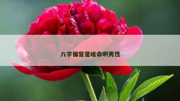 八字偏官是啥命啊男性
