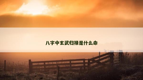 八字中玄武归禄是什么命