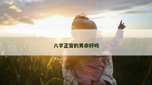 八字正官的男命好吗