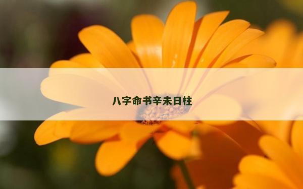 八字命书辛未日柱