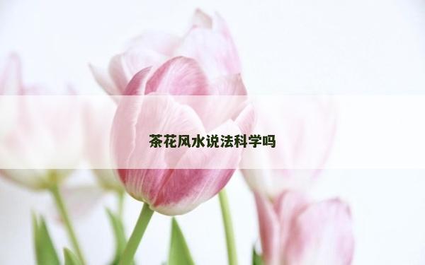 茶花风水说法科学吗