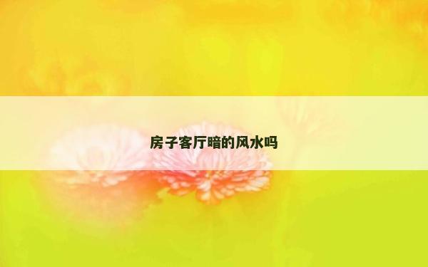 房子客厅暗的风水吗