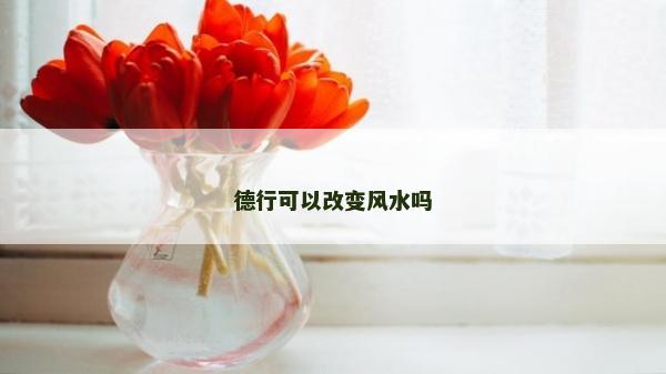 德行可以改变风水吗