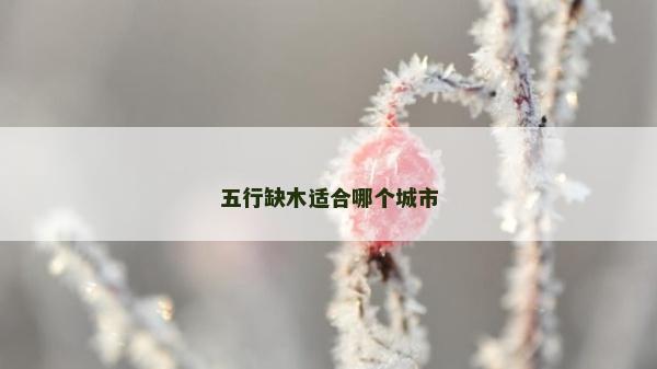 五行缺木适合哪个城市