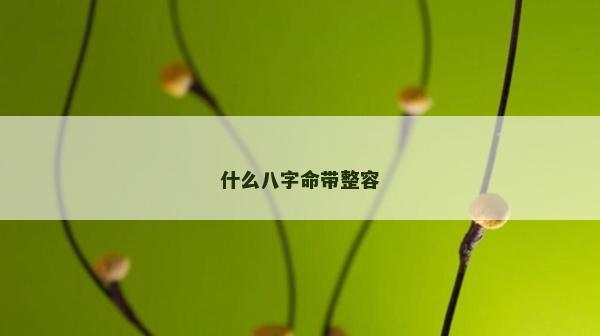 什么八字命带整容