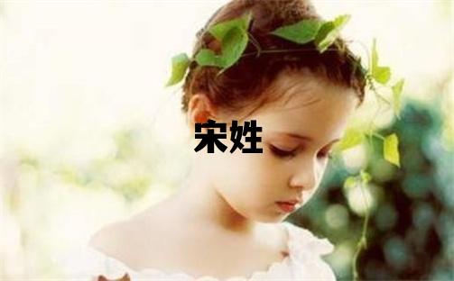 宋姓朗朗上口的男宝宝名字