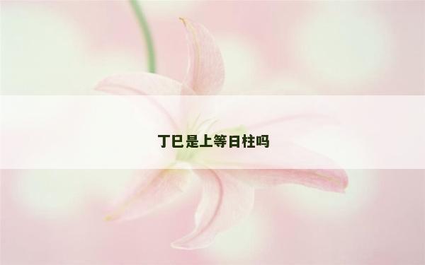 丁巳是上等日柱吗