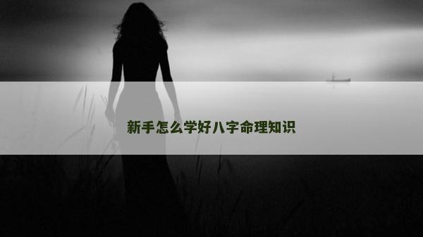 新手怎么学好八字命理知识