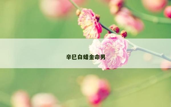 辛巳白蜡金命男