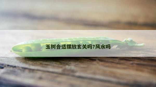 玉树合适摆放玄关吗?风水吗