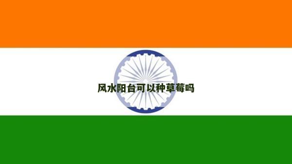 风水阳台可以种草莓吗