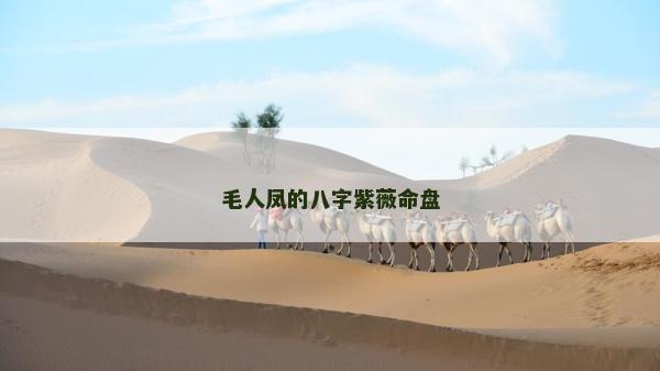 毛人凤的八字紫薇命盘