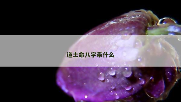 道士命八字带什么