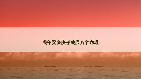 戊午癸亥庚子庚辰八字命理