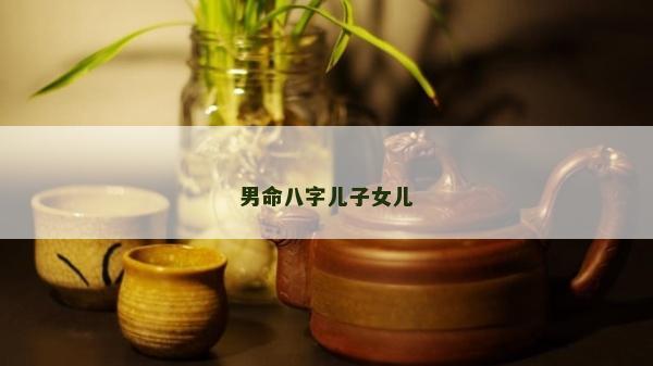 男命八字儿子女儿