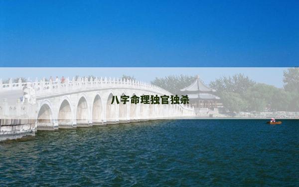八字命理独官独杀