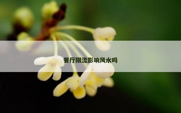 餐厅限流影响风水吗