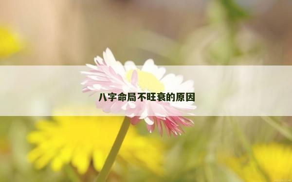 八字命局不旺衰的原因