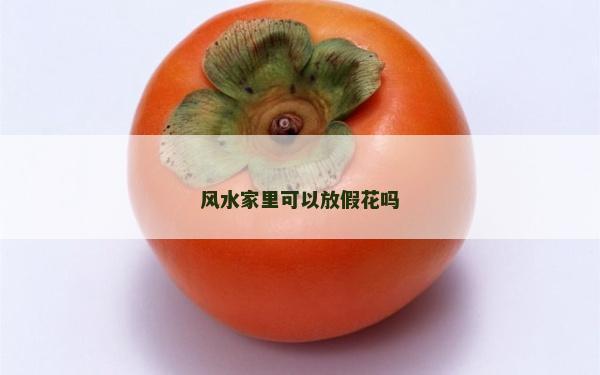 风水家里可以放假花吗