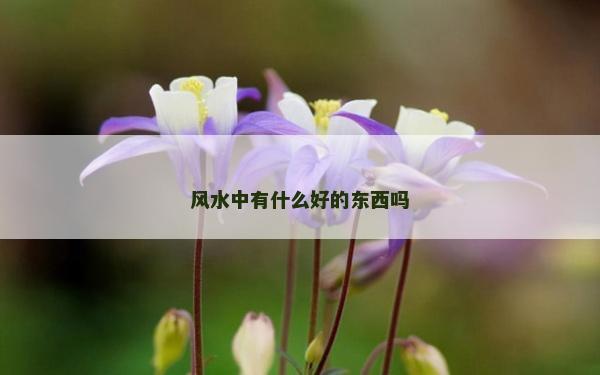 风水中有什么好的东西吗