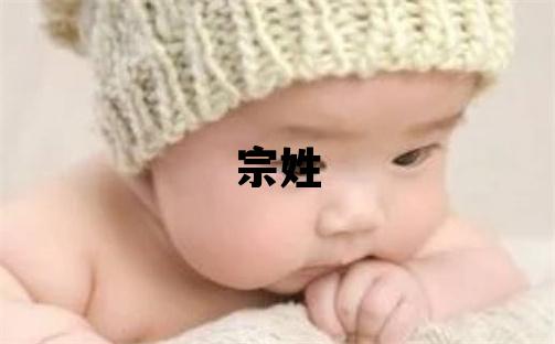宗姓取名有创意的男宝宝名字