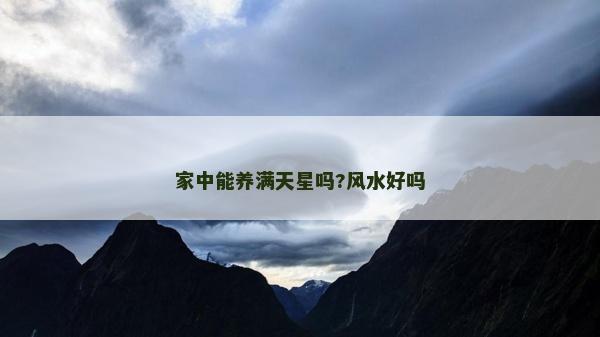 家中能养满天星吗?风水好吗
