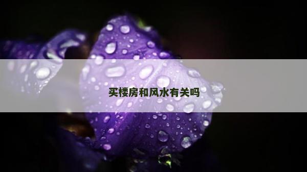 买楼房和风水有关吗