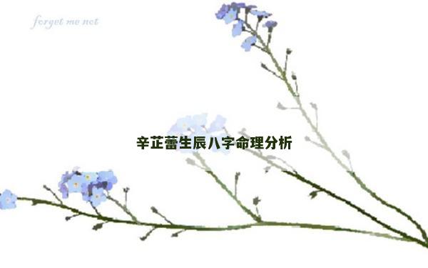 辛芷蕾生辰八字命理分析