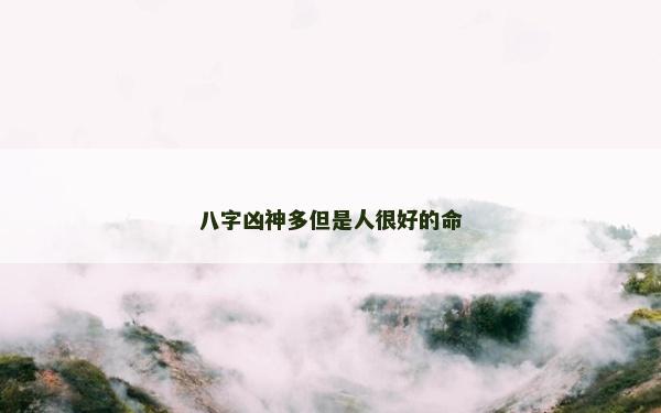 八字凶神多但是人很好的命