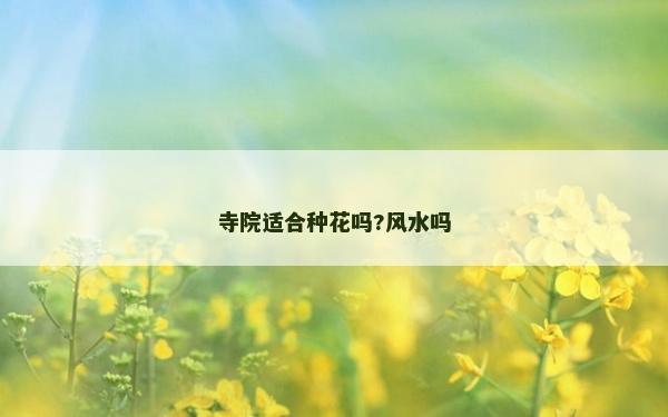 寺院适合种花吗?风水吗