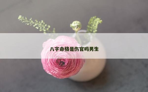 八字命格是伤官吗男生