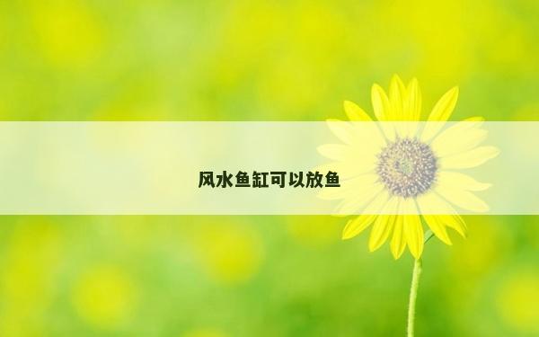 风水鱼缸可以放鱼