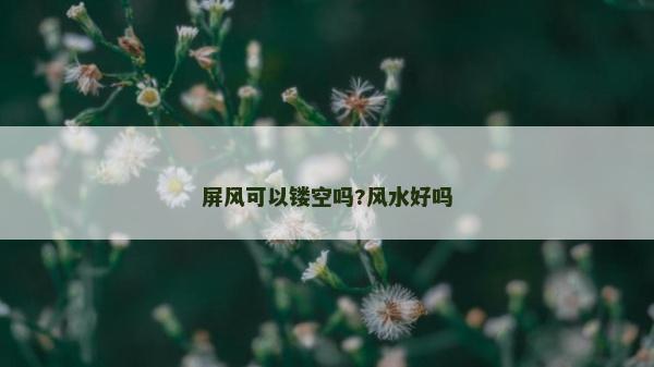 屏风可以镂空吗?风水好吗