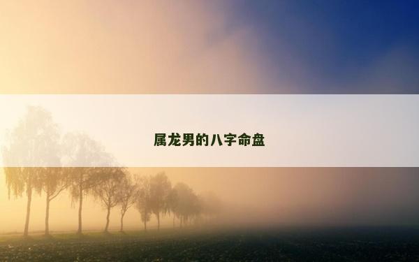 属龙男的八字命盘