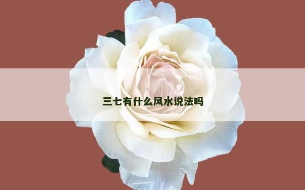 三七有什么风水说法吗
