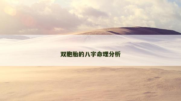 双胞胎的八字命理分析
