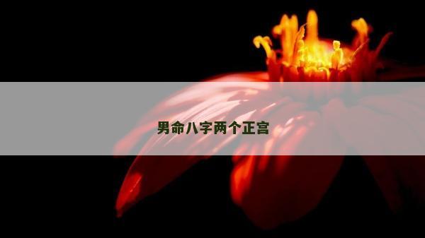 男命八字两个正宫