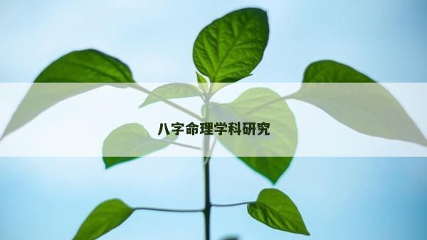 八字命理学科研究
