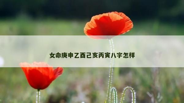 女命庚申乙酉己亥丙寅八字怎样