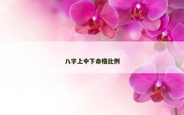 八字上中下命格比例