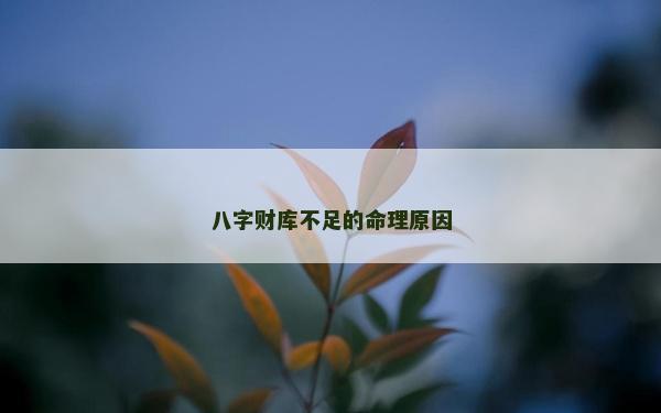 八字财库不足的命理原因