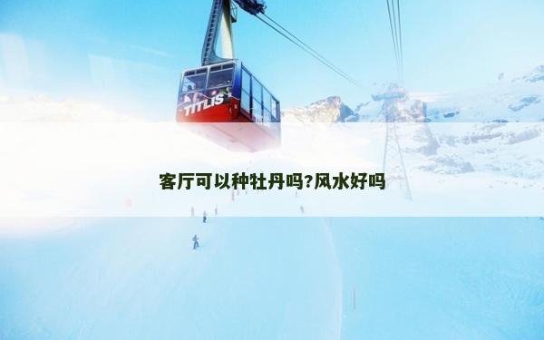 客厅可以种牡丹吗?风水好吗