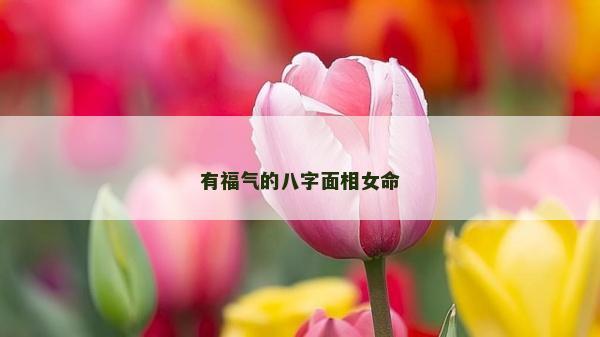 有福气的八字面相女命