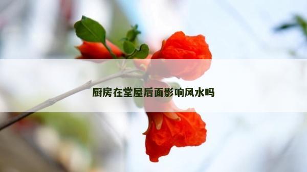 厨房在堂屋后面影响风水吗