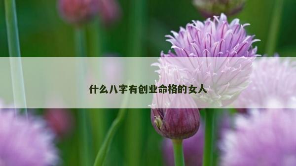 什么八字有创业命格的女人