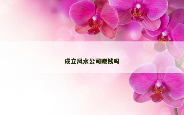 成立风水公司赚钱吗