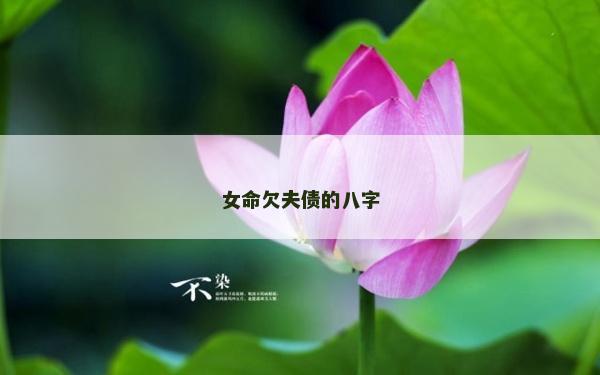 女命欠夫债的八字